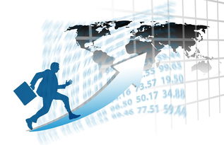 爱游戏官网充值-中国篮球职业联赛赛事运营风险评估与管理对策，篮球赛事安全风险